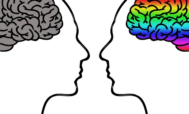 Decriptând mințile noastre: Fascinante curiozități despre creierul uman